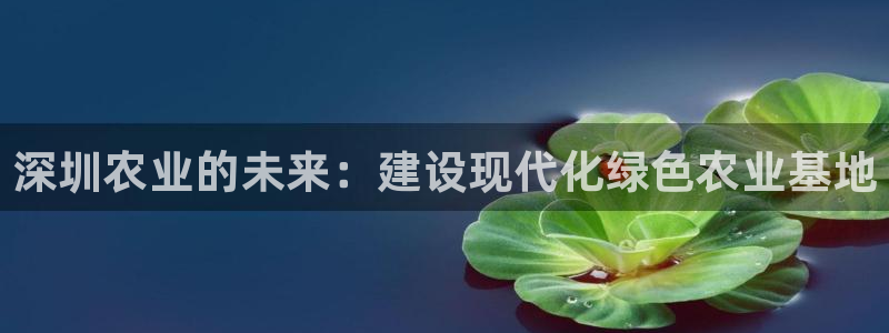 摩根娱乐宝可信吗