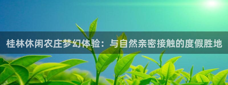 摩根娱乐宝是合法吗