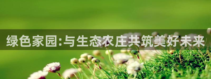 泉州摩根会娱乐