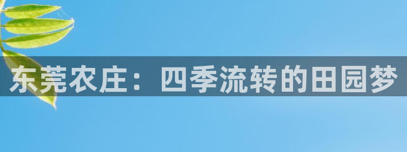 摩根娱乐彩票被骗了