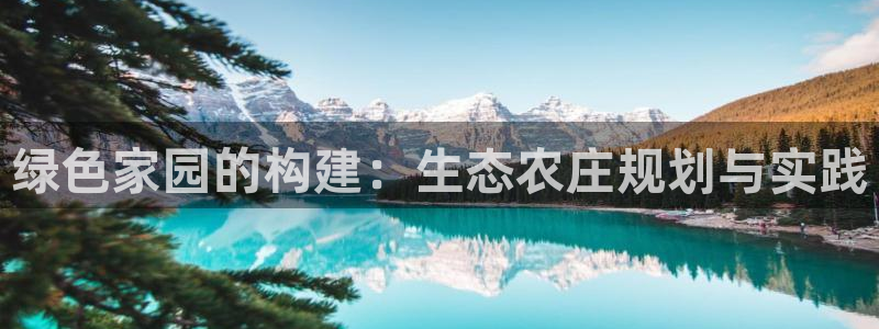 摩根大通王者娱乐