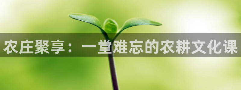 义乌摩根娱乐会所招聘
