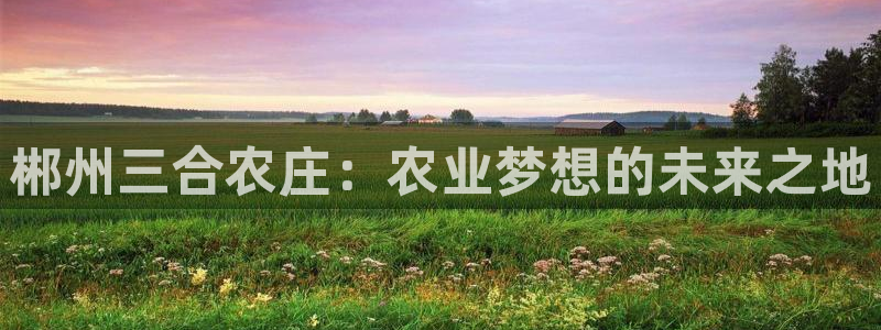摩根国际娱乐宝