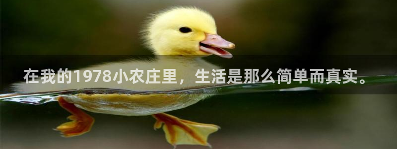 漳州摩根会娱乐