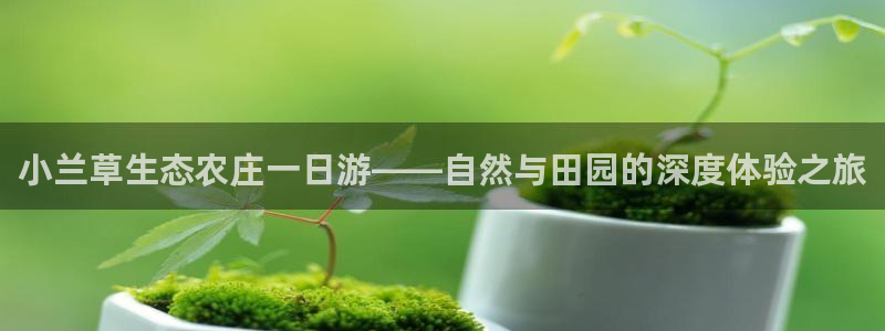 摩根娱乐总部在哪里