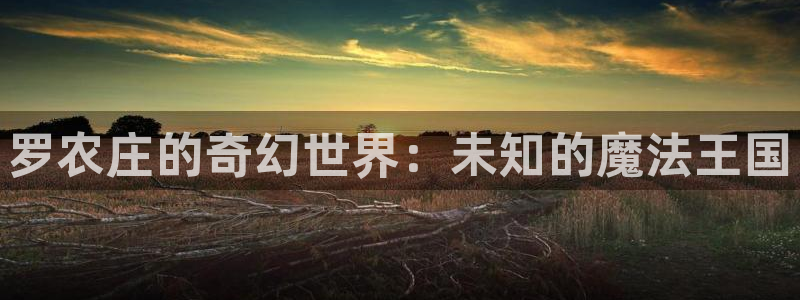 摩根娱乐怎么样