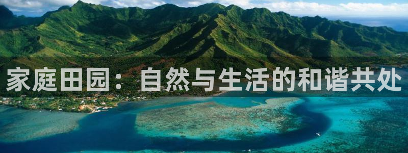 摩根娱乐和摩根国际