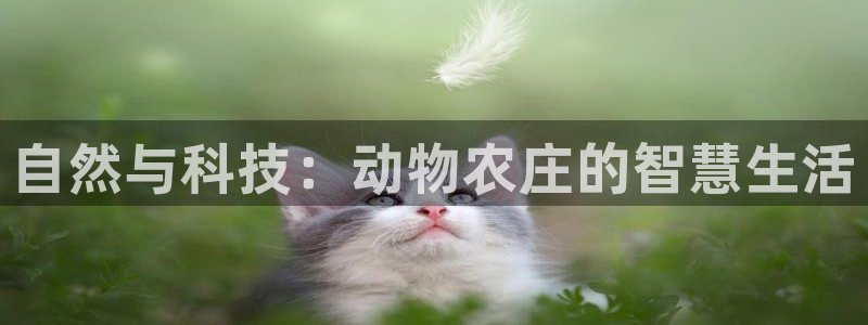 摩根克里克娱乐公司