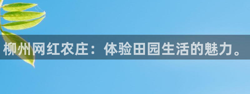 摩根娱乐主管