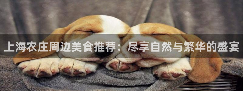 白宫摩根娱乐地址