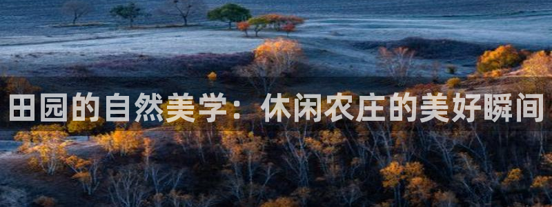 摩根娱乐 F招D商98732