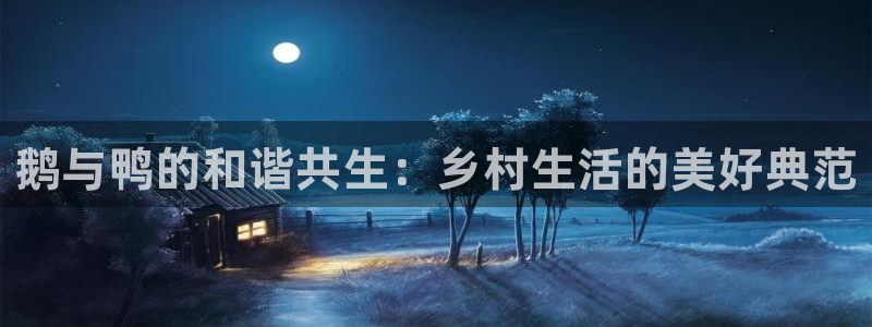 摩根会娱乐会所