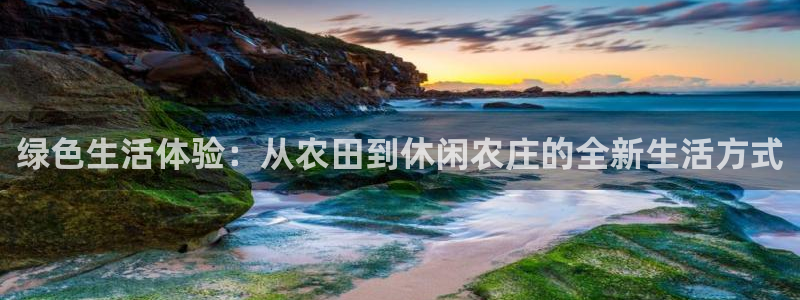泉州摩根会娱乐保安