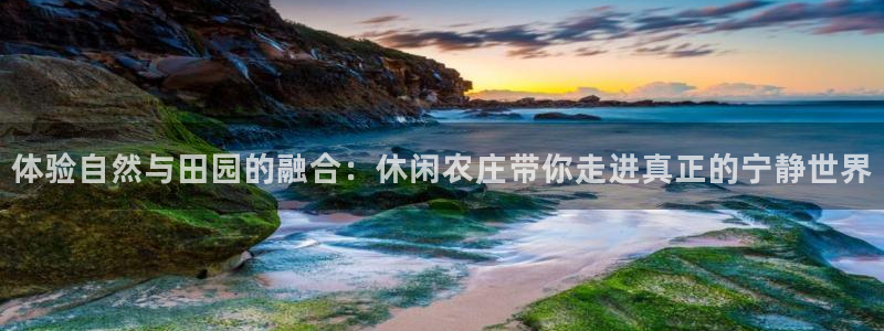 摩根娱乐宝是真的吗