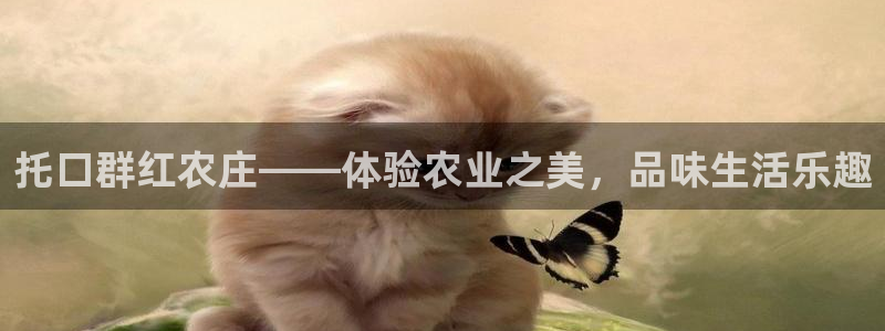 义乌摩根娱乐会所价格
