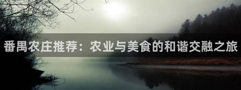 义务摩根娱乐会所