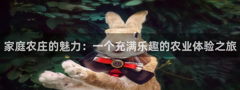 摩根太古互动娱乐中心