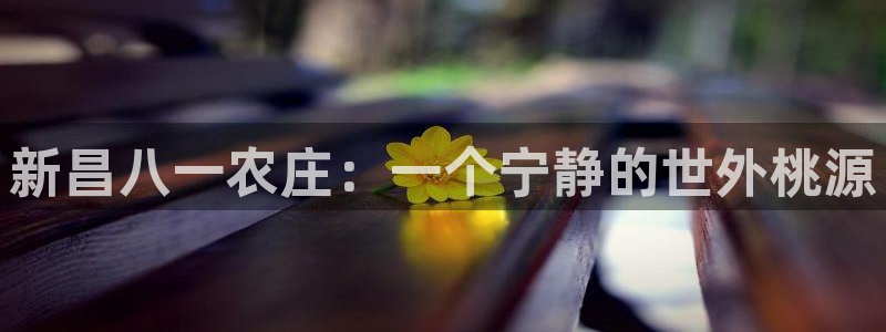 摩根大通黄金娱乐