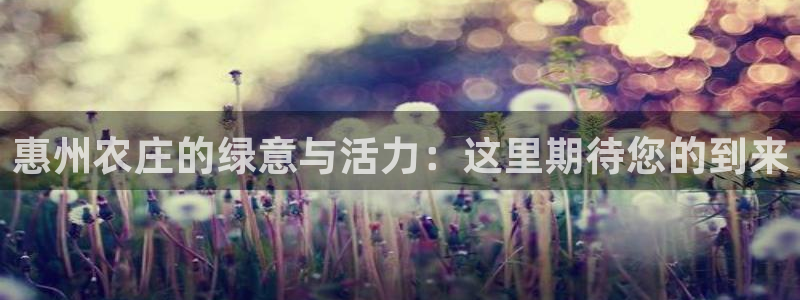 摩根娱乐套路