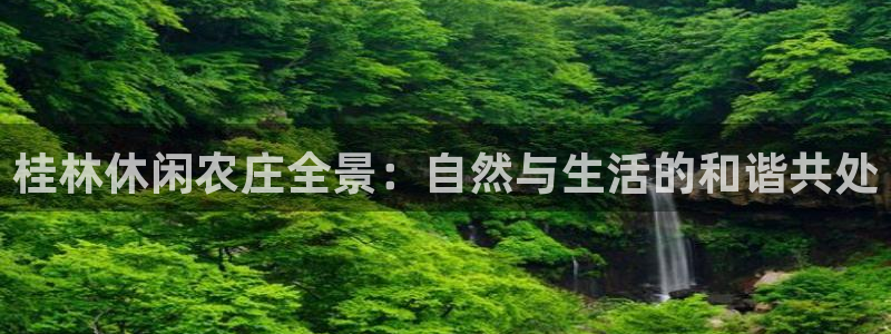 摩根 娱乐宝骗了我
