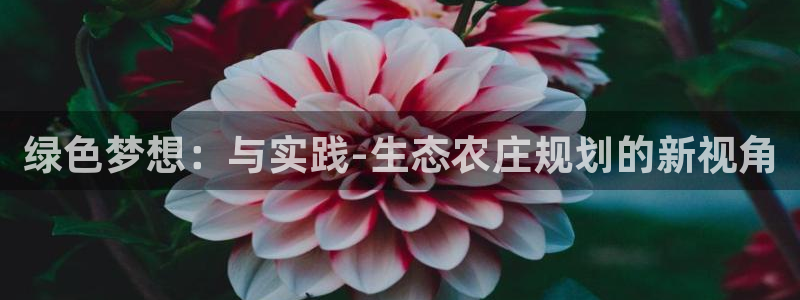 义乌摩根娱乐会所价格