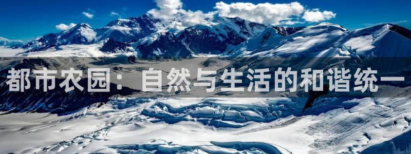 摩根国际娱乐宝在哪里
