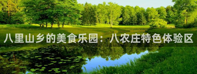 摩根娱乐创始人