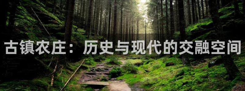 摩根娱乐宝怎么样