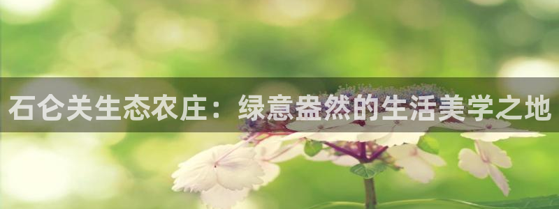 义乌摩根娱乐会所小费