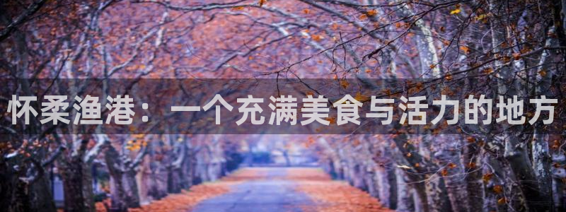 摩根娱乐L老L板50820