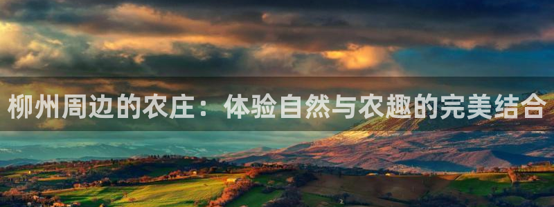 华视娱乐 摩根 王琛