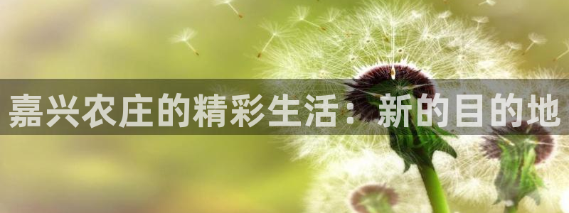 芜湖摩根一百有哪些娱乐