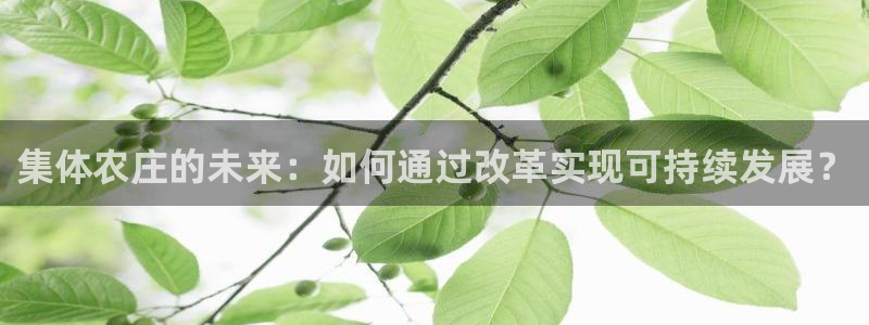 泉州摩根娱乐会所