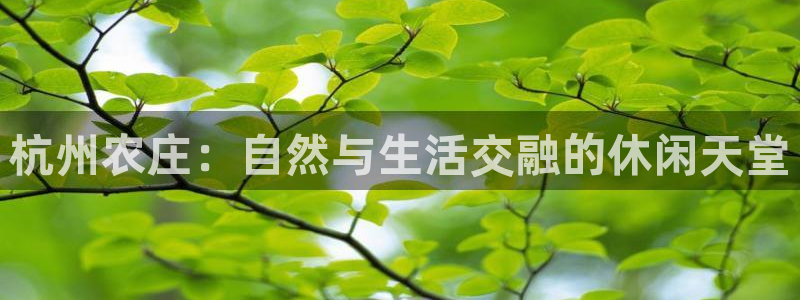 摩根国际亚太娱乐宝