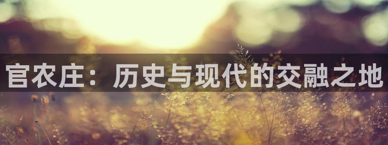 摩根娱乐主管