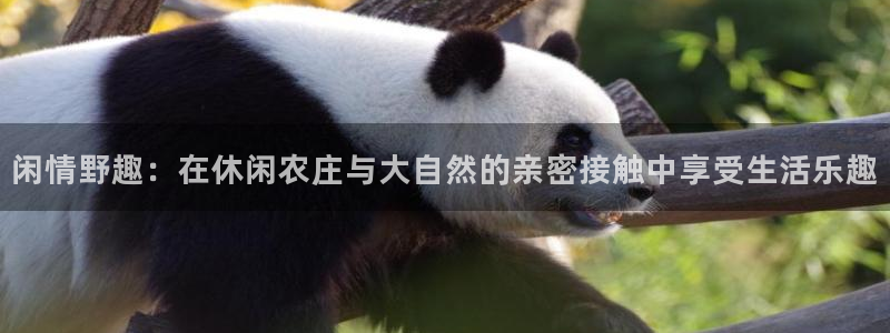 摩根娱乐宝下载