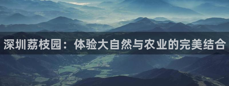 摩根娱乐宝-