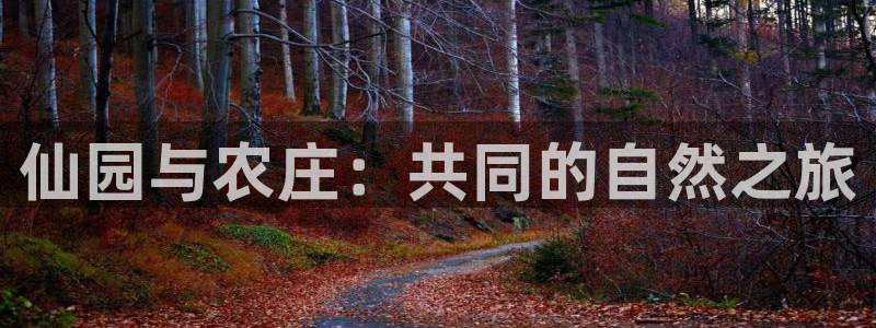 摩根100娱乐会所