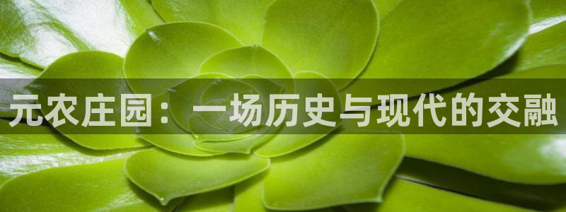 摩根360娱乐