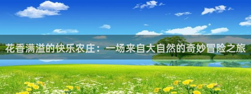 泉州摩根会娱乐有限责任公司管理