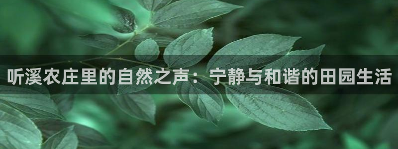 摩根娱乐宝登陆网址