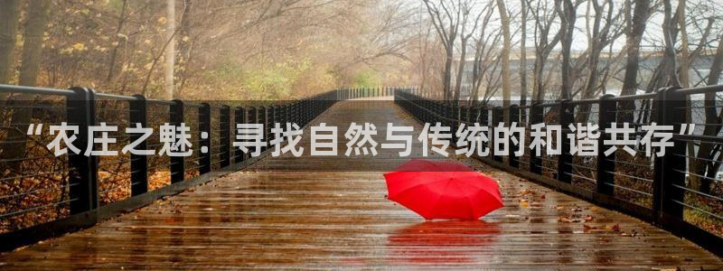 摩根娱乐宝。知道吗