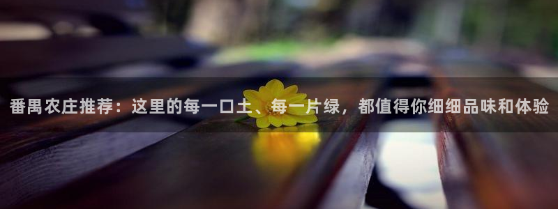摩根国际商务娱乐会所