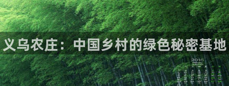 摩根娱乐50186联系