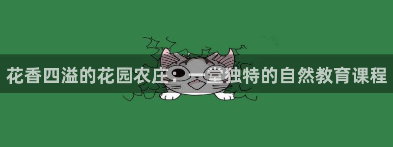 摩根国际 亚太 娱乐宝