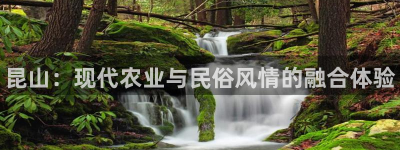 摩根娱乐宝