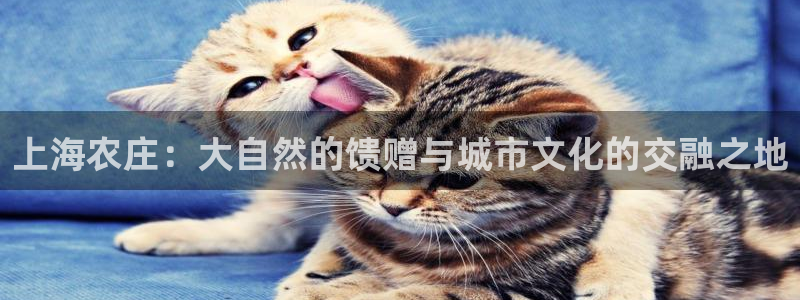 杭州市摩根国际娱乐会所