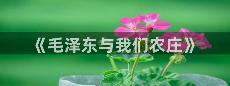 摩根娱乐宝
