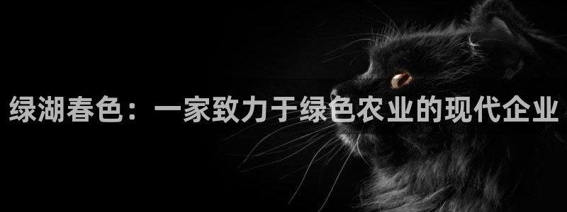 义乌摩根娱乐会所小费