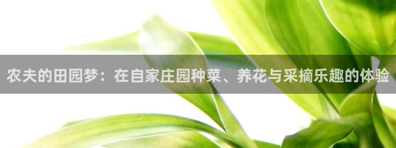 摩根娱乐宝怎样拉下线
